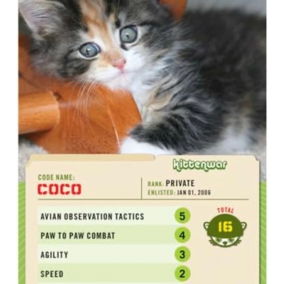 Kittenwar The Card Game : May The Cutest Kitten Win - Picture 2 of 3